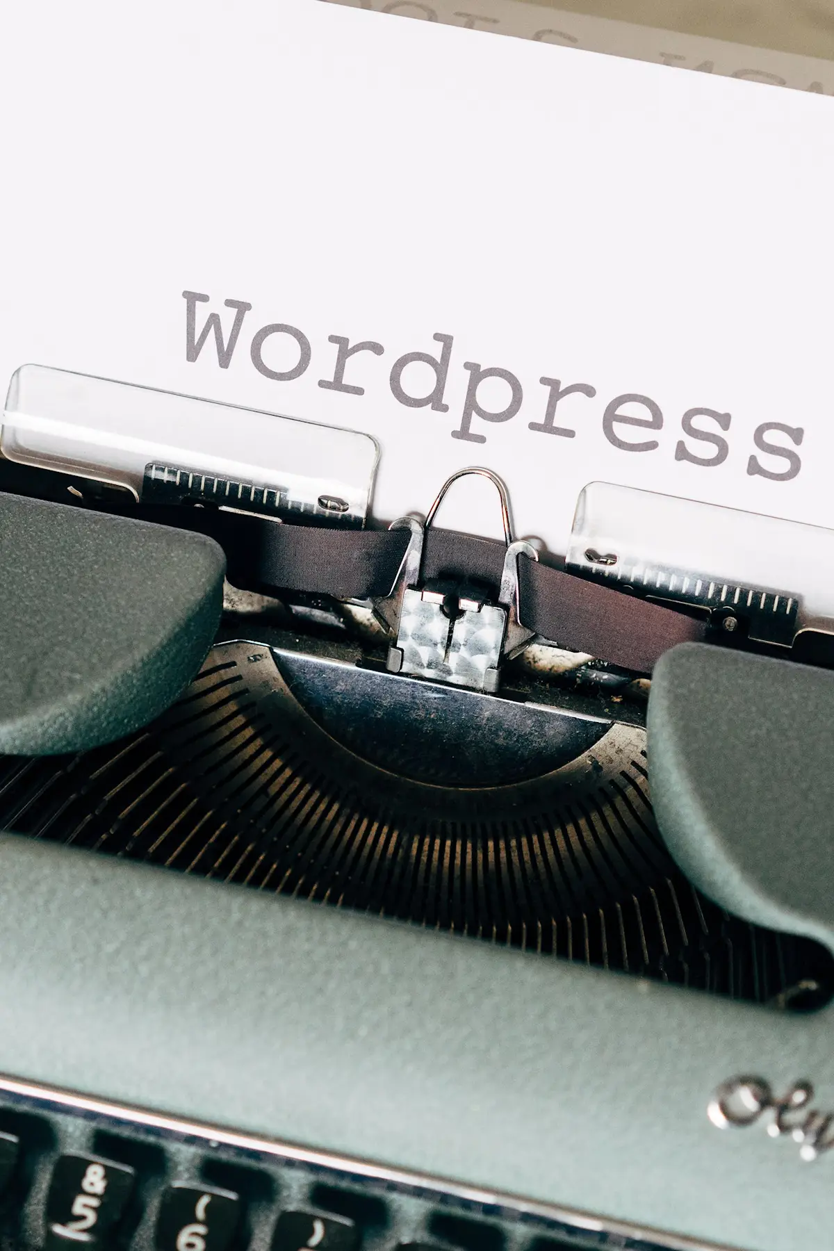 Wordpress oder Joomla